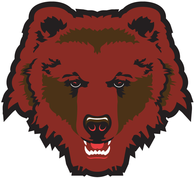 Brown Bears 1997-Pres Partial Logo diy iron on heat transfer